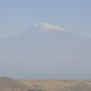 Արարատյան դաշտ