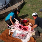 Mongolia: preparing lunch