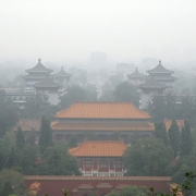 Forbidden City Roofs