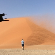 Dune 45 - Sossusvlei