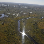 Okavango delta (4)