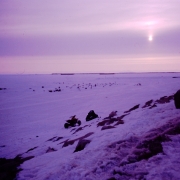 Bering Sea