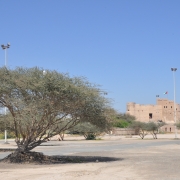 Fujairah Fort