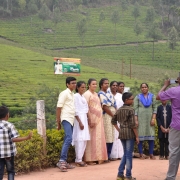 Taste of munnar