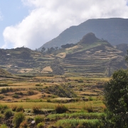 Konso Terraces