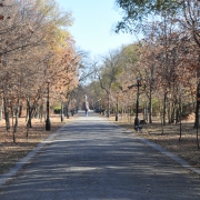 Pobeda Park, Tiraspol
