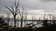 Nakuru Lake