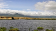 ngorongoro table cloth